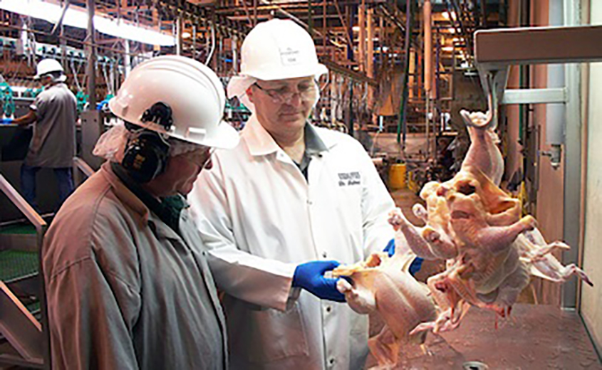 Problems with the U.S. Meat Supply