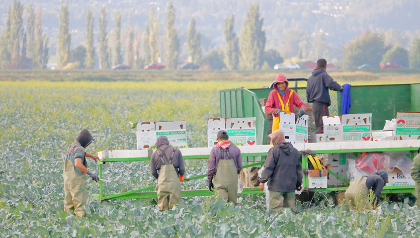 Lack of PPE Endangering Nation’s Food Supply