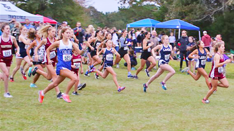 MAIS CrossCountry