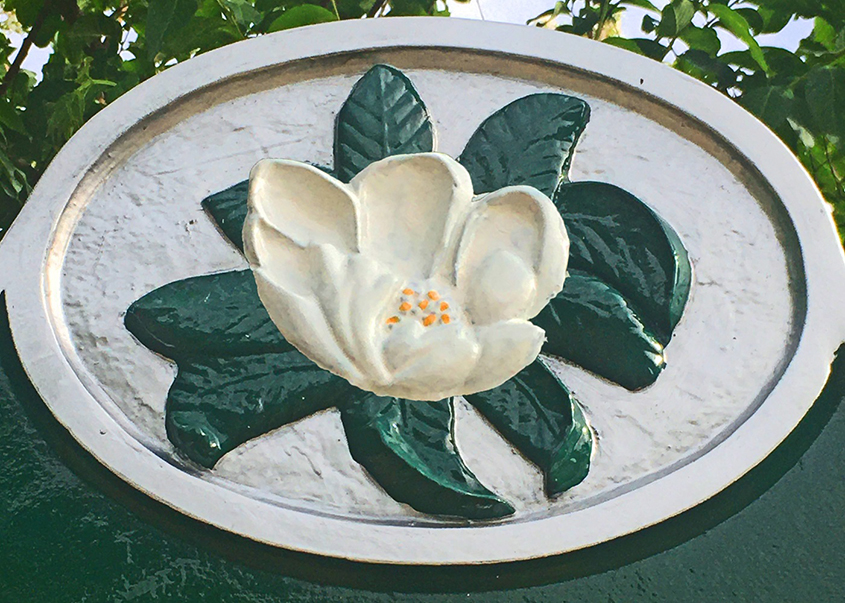 Mississippi Magnolia