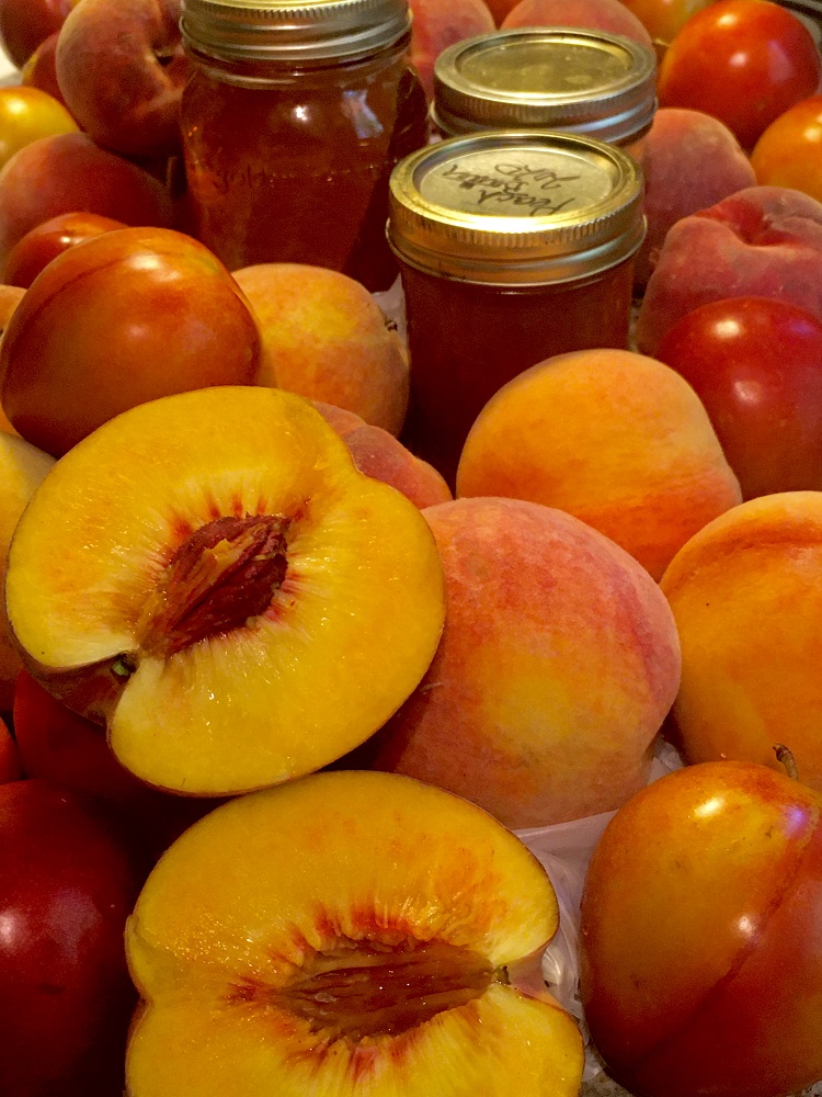 There are some sweet home-grown compensations for Mississippi’s torrid summers