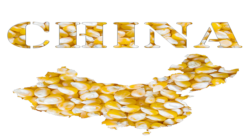 FSN