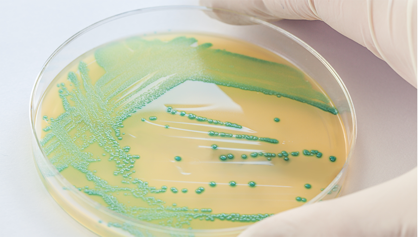 Hard Metal Surfacers That Kill Bacteria