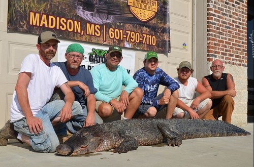 Alligator season begins for permit holders