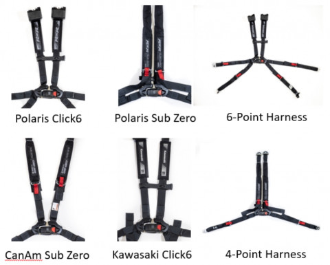 Harness
