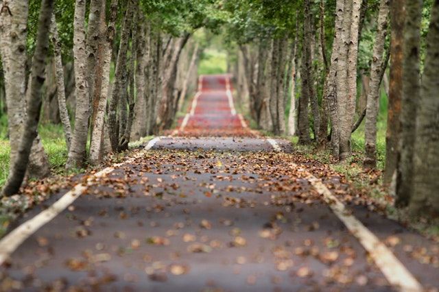 God leads you to new places