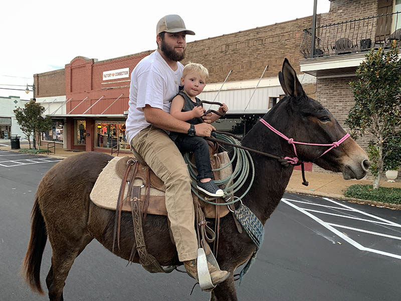 Mule on Main