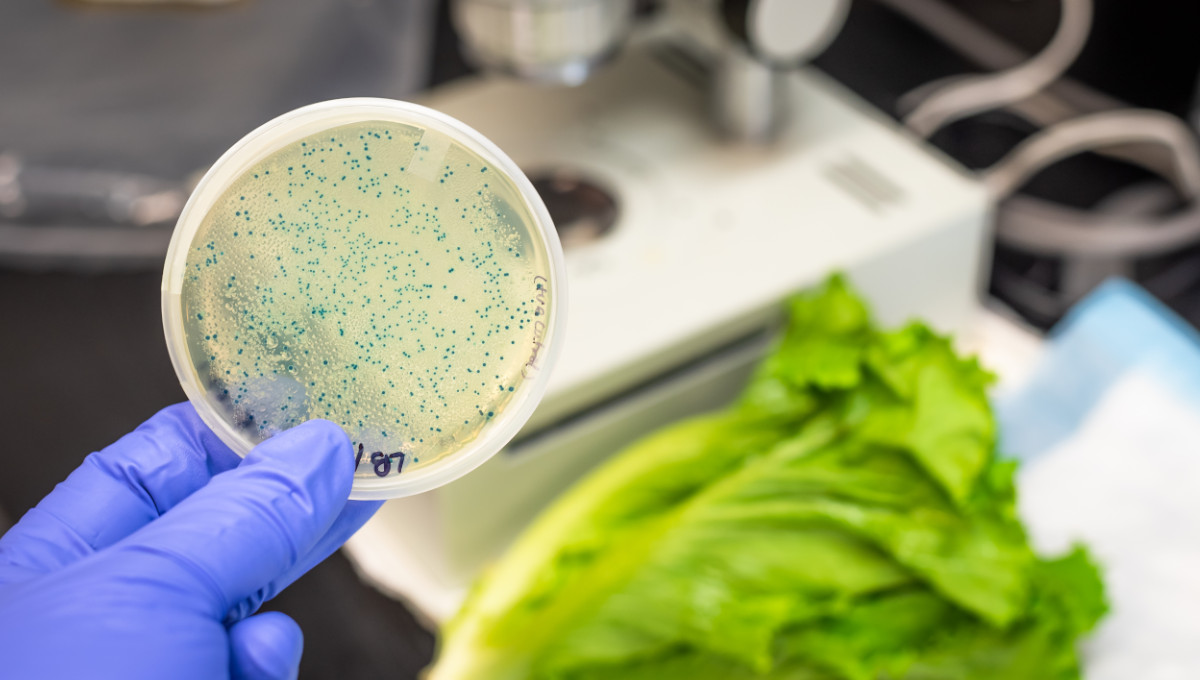 Another E. coli outbreak linked to romaine