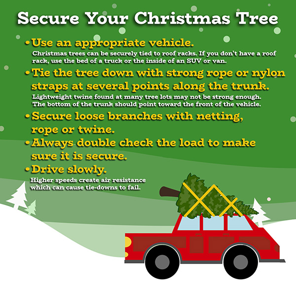 Secure your Christmas tree for transport