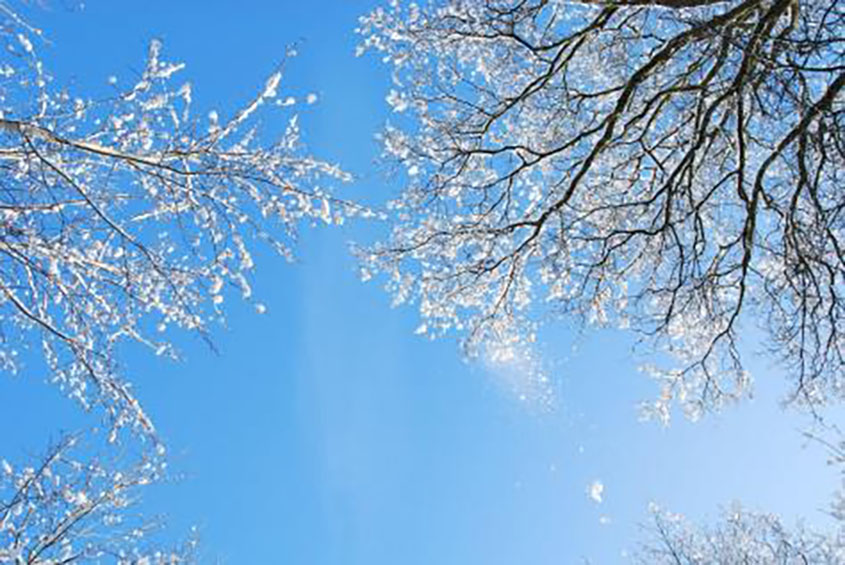 Simpson County Schools & SCA  Closed Monday