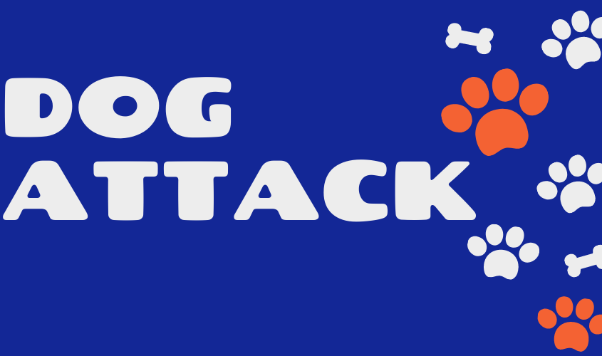 Magee PD Release Report Concerning Dog Attack