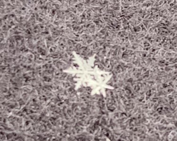 The Beauty of a Snowflake