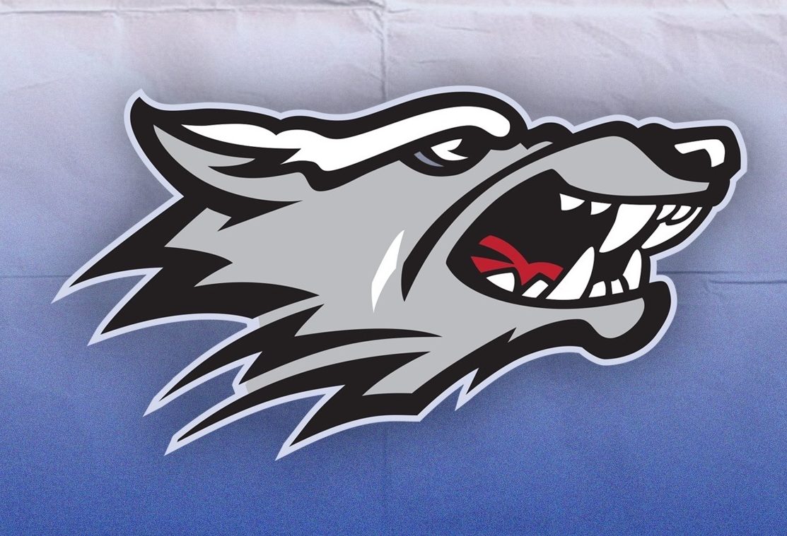 Co-Lin basketball to host summer camp