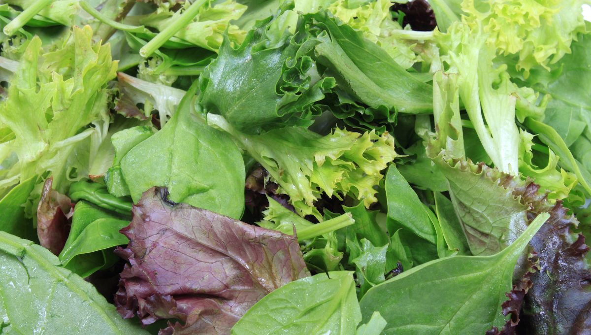 Wide variety of leafy greens under recall after positive tests for Listeria