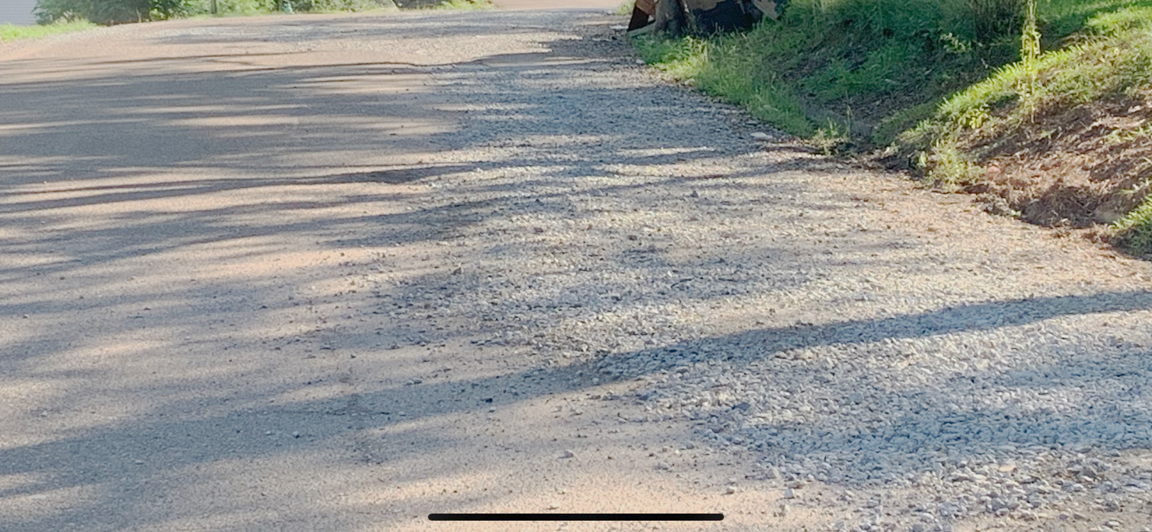 Out and About in the Goodwater Community