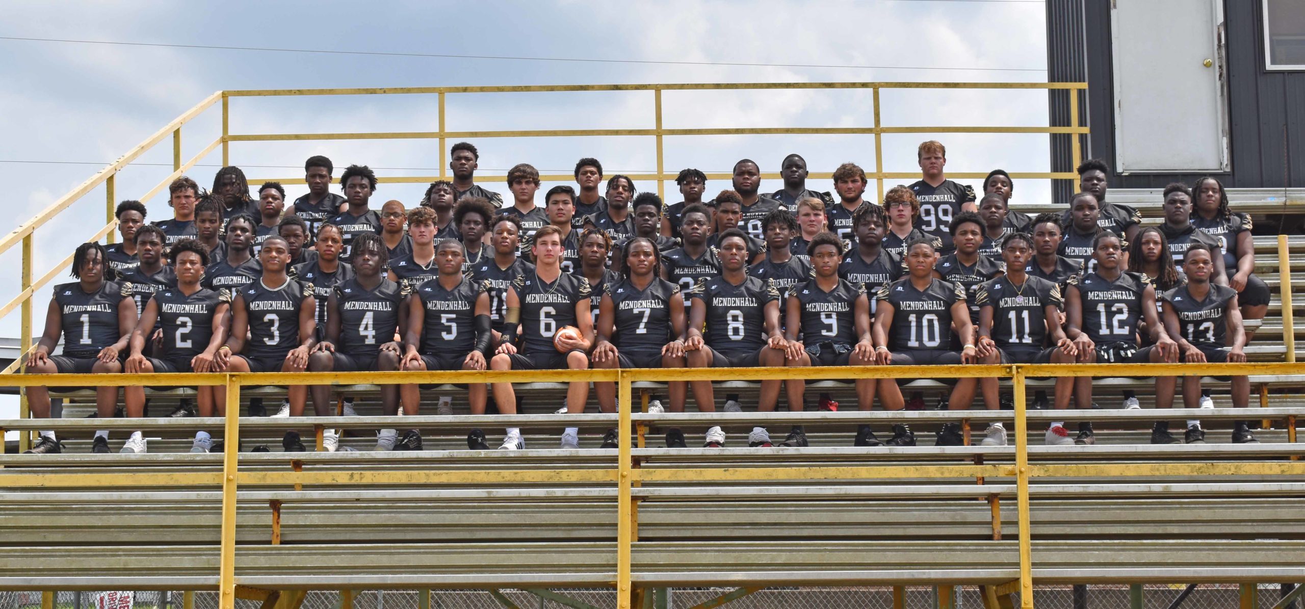 Tigers Looking for Successful Year