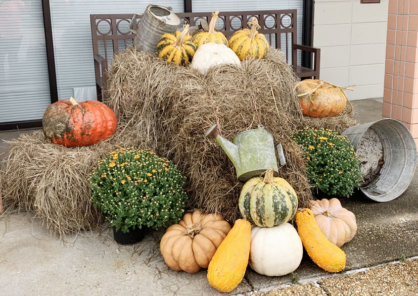 City Hall is Looking Fall!