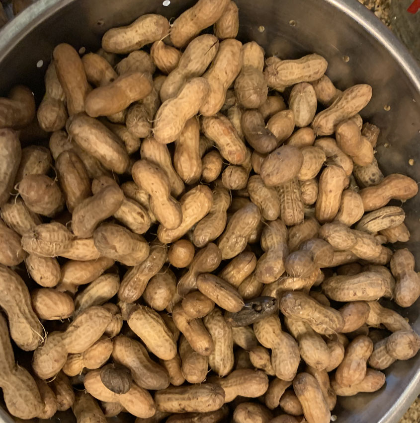 Mississippi Farmers Market to Host Peanut Boil on Saturday, October 2