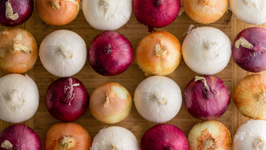 Patient count in Salmonella outbreak related to onions exceeds 800