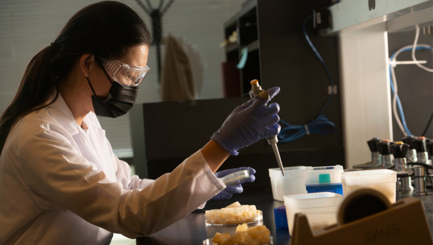 ‘Jelly’ ice cubes could revolutionize cold storage