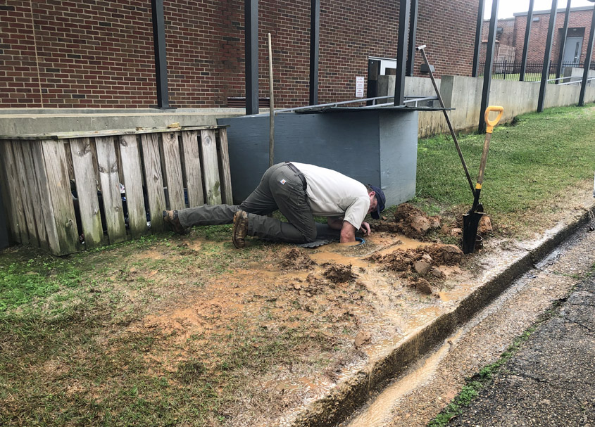 Always Willing to Work!