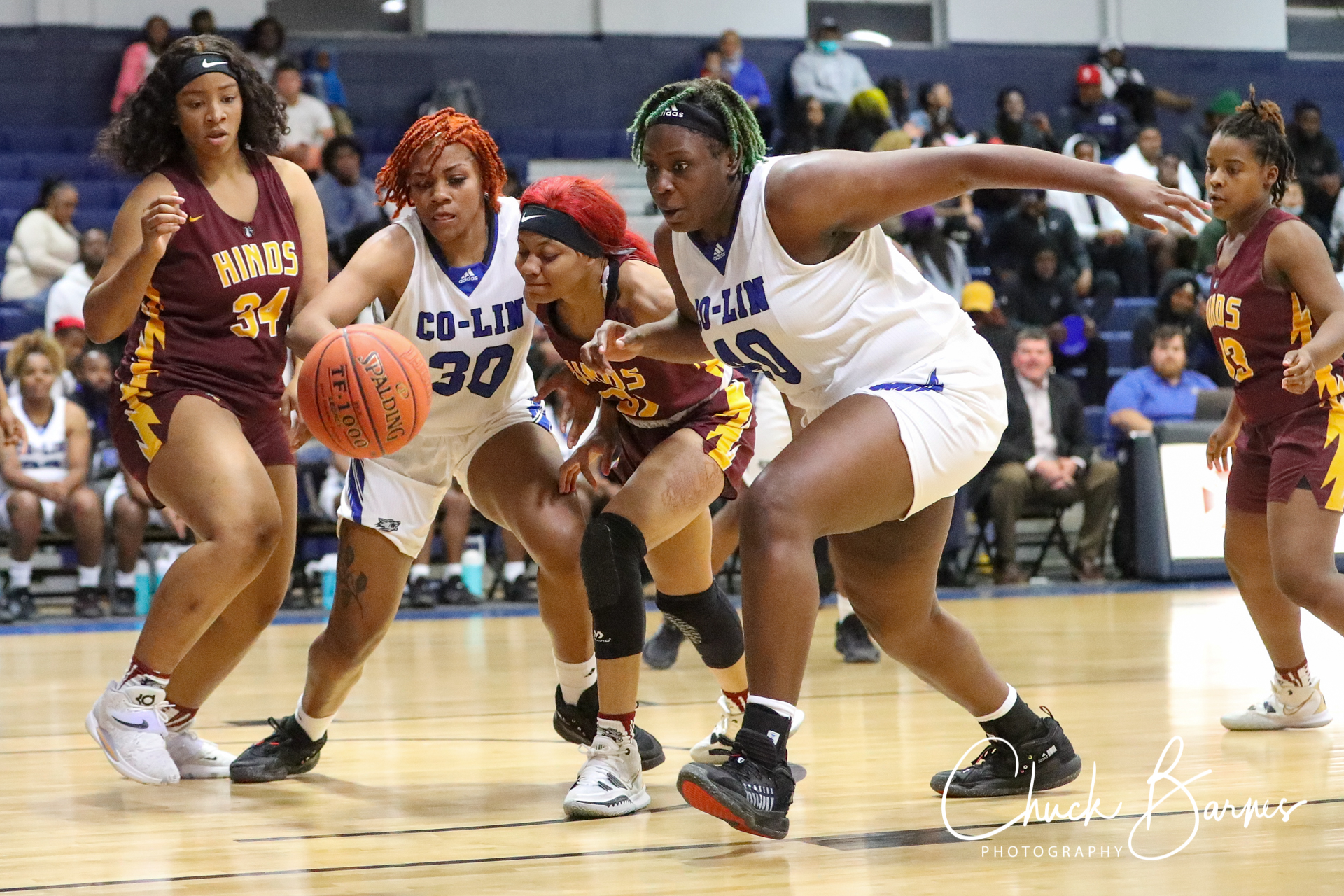 Lady Wolves Falter Against Lady Lions