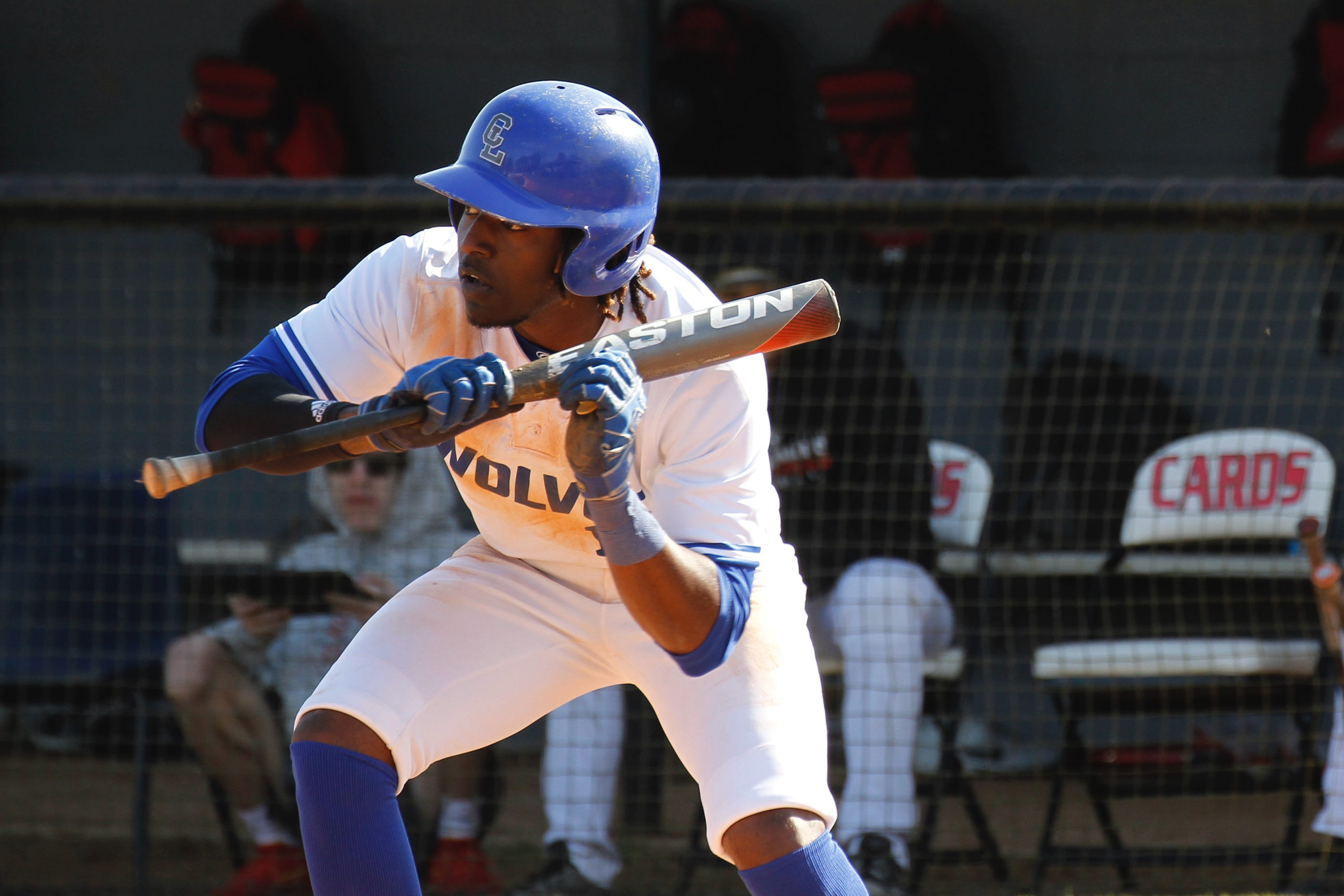 Wolves Split Doubleheader