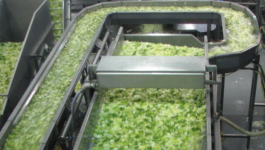Listeria Outbreak Traced to Dole Salads