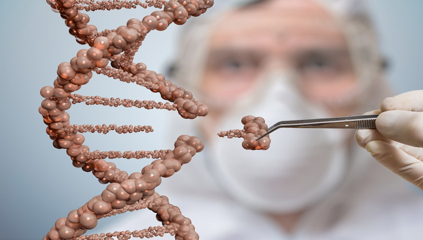 Gene-Edited Cattle Safe to Eat says FDA