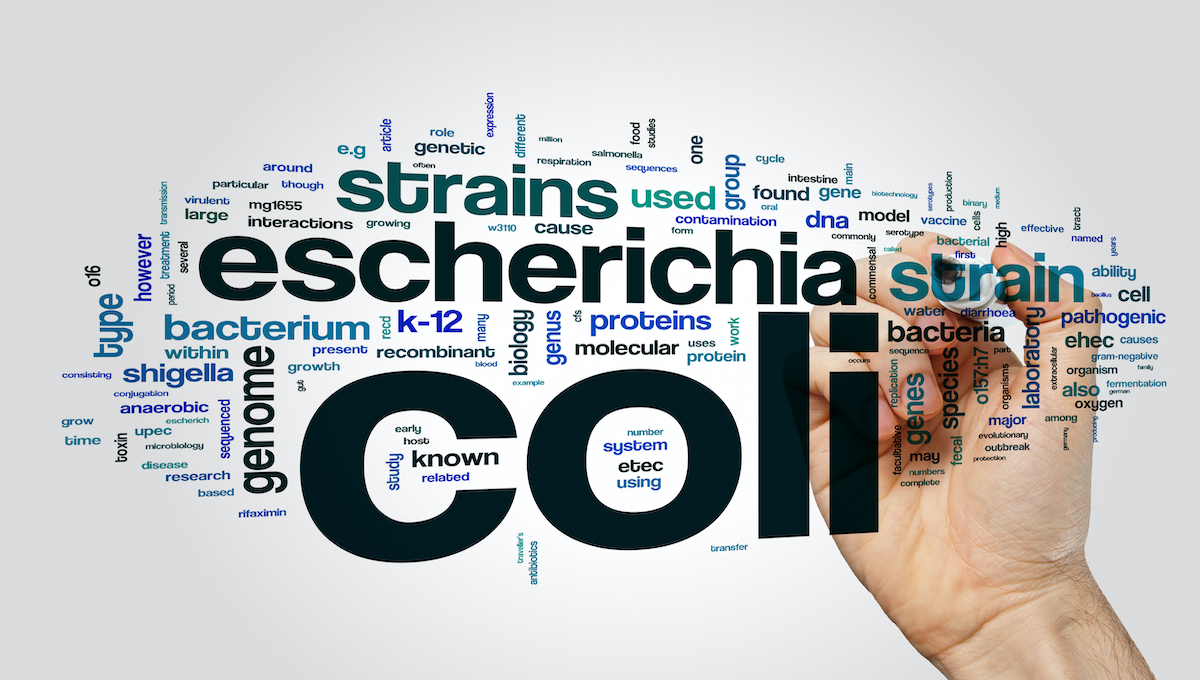 Child dies, others sick from E. coli in France