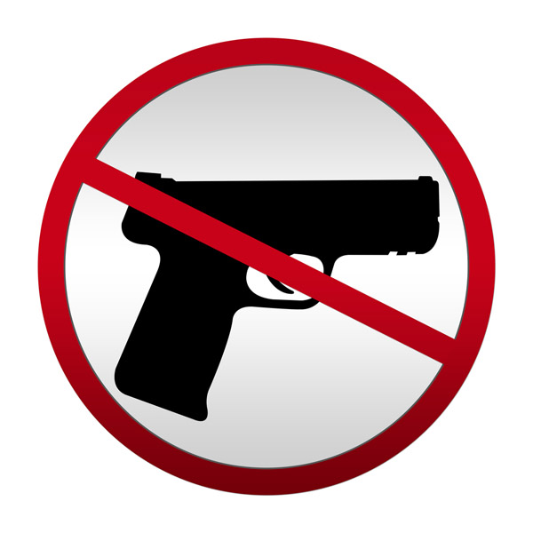 Board Approves City Gun Ordinance