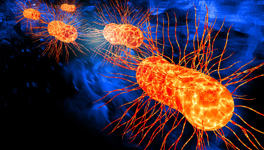 E. coli infections from unknown source under investigation in Alabama