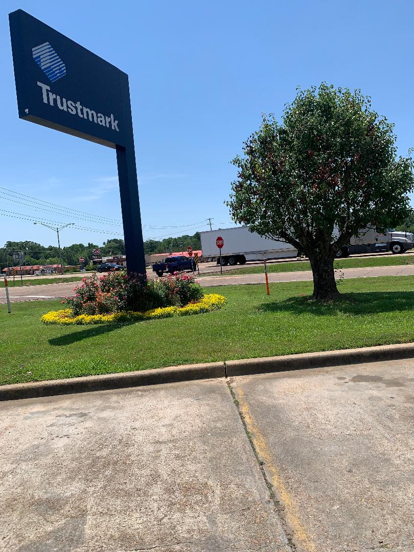 Out and About in Magee!