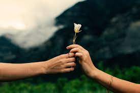 Sharing