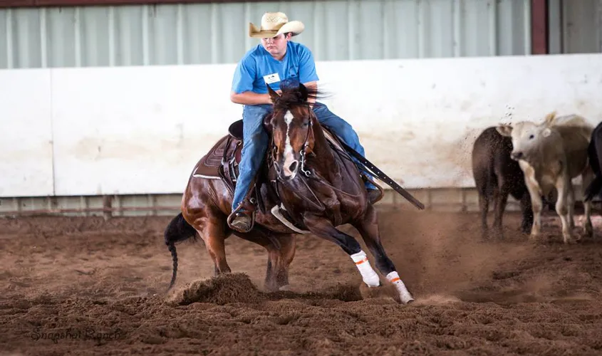 Agriculture Commissioner Announces Inaugural Mississippi Hometown Rodeo Series for 2023