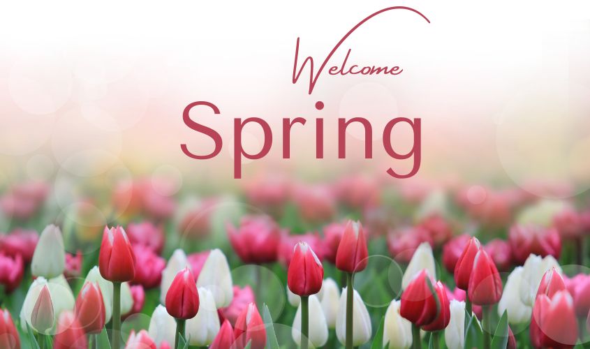 Spring has officially arrived - MageeNews.com