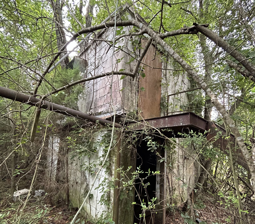 Simpson County Roads:  49 Drive-In