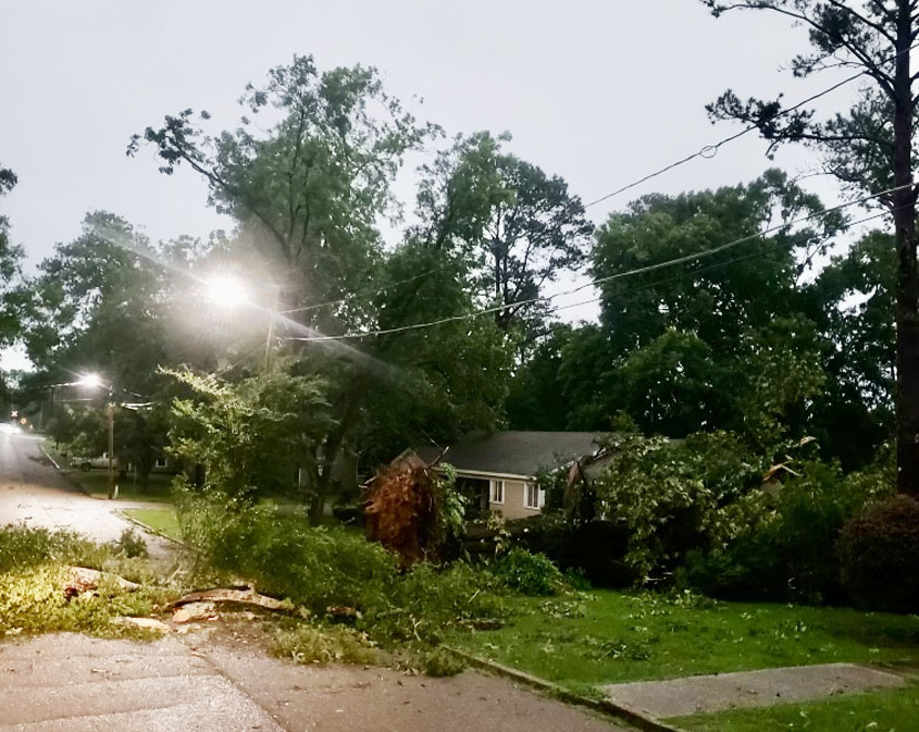 Update on Storm Damage in Magee Area