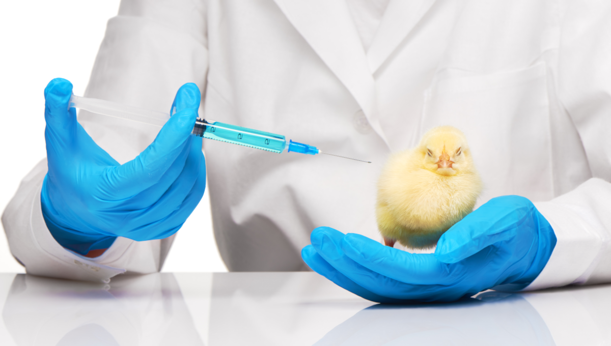 Tyson Foods to remove ‘No Antibiotics Ever’ label by end of year
