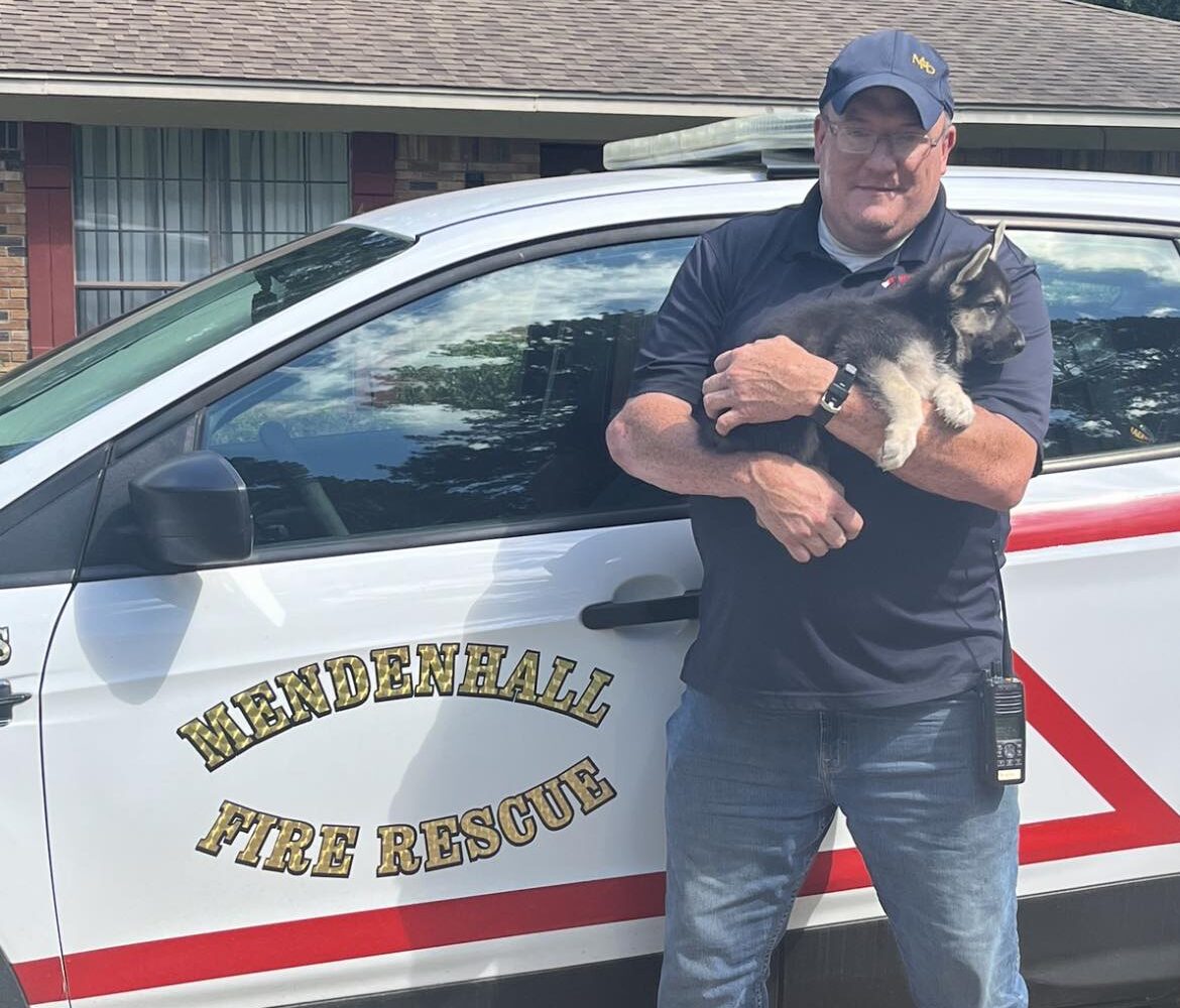 Local Fire coordinator Matt Abbot adopts puppy weeks after rescuing his mom