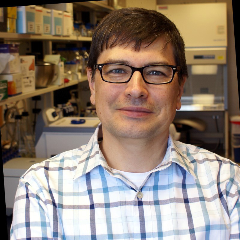USM Professor Earns Grant to Study How Climate Change Affects Dryland Crops