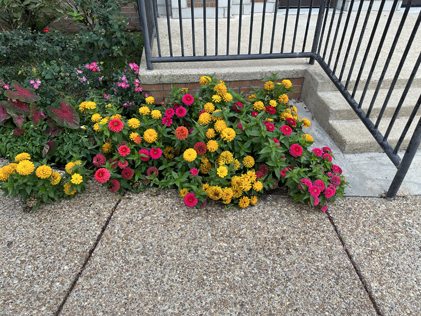 The Colors of Fall