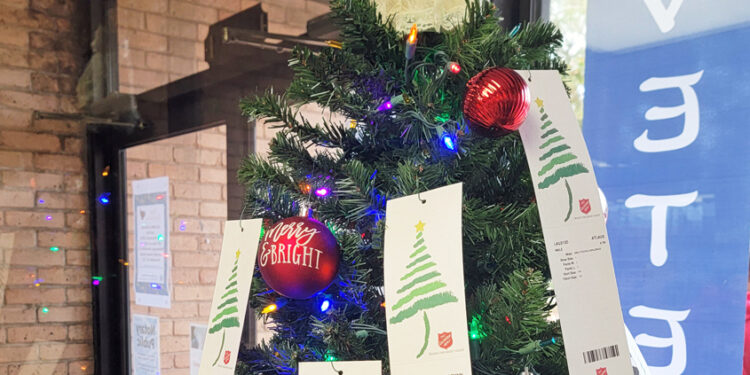 Adopt An Angel @ the Magee Library