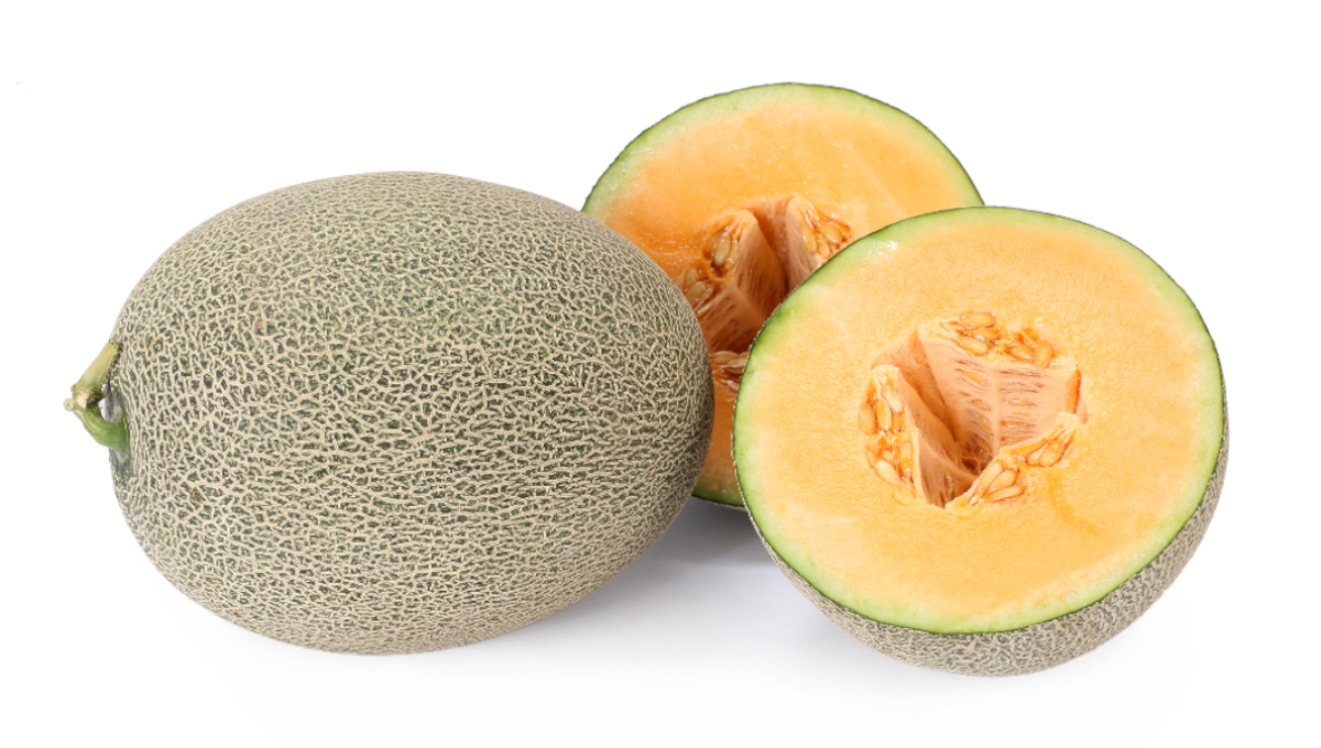 Cantaloupe in whole and part that may be contaminated with Salmonella is recalled