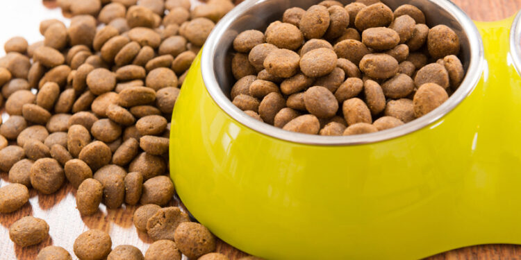 Update on Dog Food for Pound
