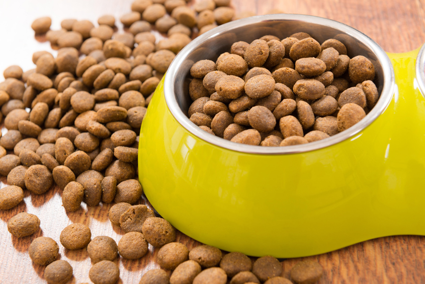 Update on Dog Food for Pound