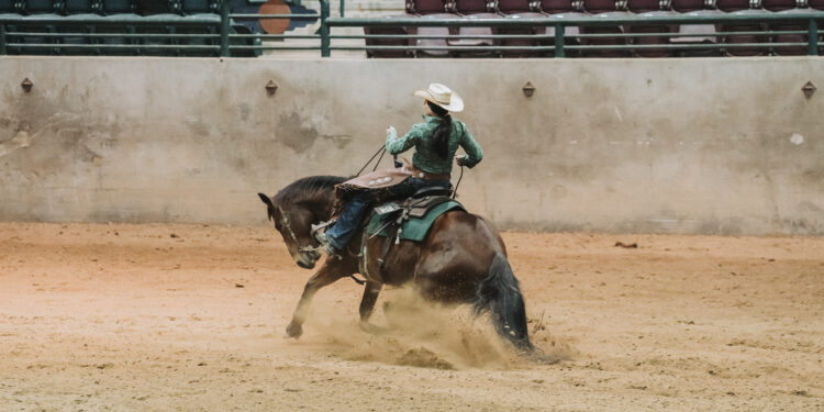 2024 Dixie National Livestock Shows Kick Off with First Equine Event