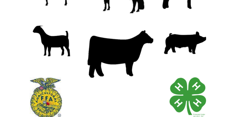 4-H and FFA Southwest District Show