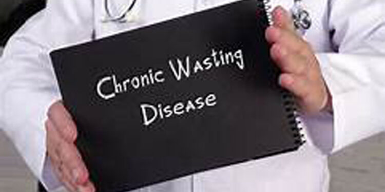 Chronic Wasting Disease Detected in Claiborne County