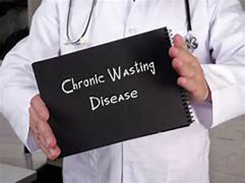 Chronic Wasting Disease Detected in Claiborne County
